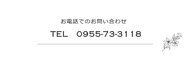 0955-73-3118