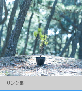 リンク集