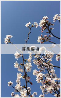 採用情報